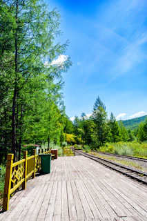 A wooden platform stretches alongside a railway track, surrounded by lush green trees under a bright blue sky. The scene is likely in a rural or forested area with no visible people. There are yellow railings and a green trash can on the platform, with hills visible in the distance.
