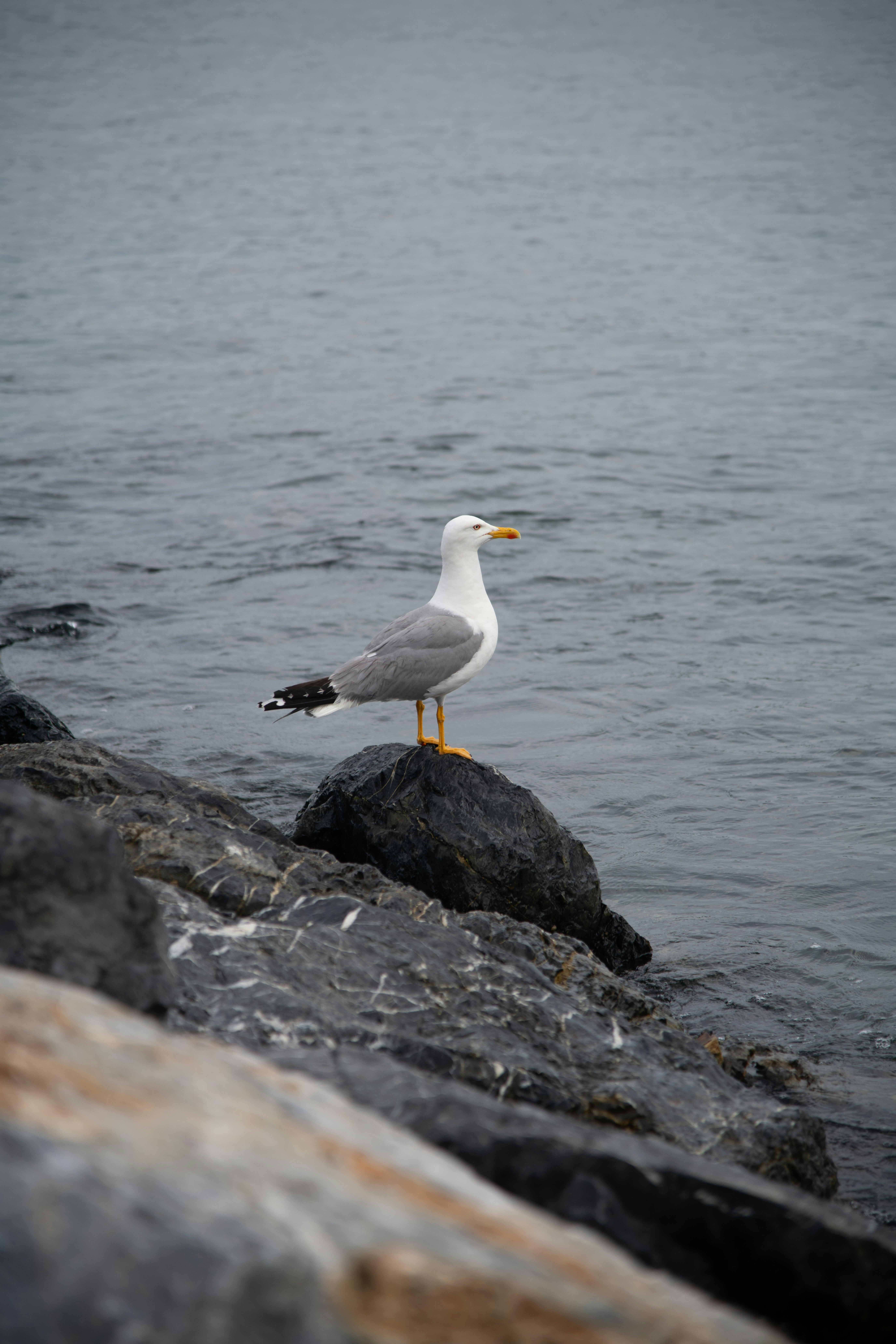 Photo by cemreakcall