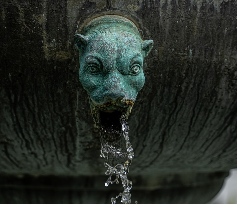 una fontana d'acqua con una faccia su di essa