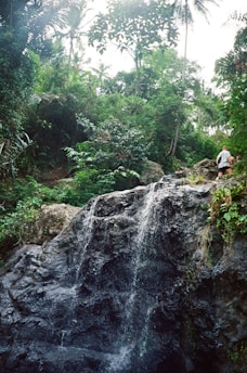 A small waterfall cascades over dark rocks surrounded by lush green vegetation. The greenery includes various types of trees and shrubs, creating a dense and vibrant jungle atmosphere. On the right, a person appears to be hiking along a path, partially visible amid the foliage.