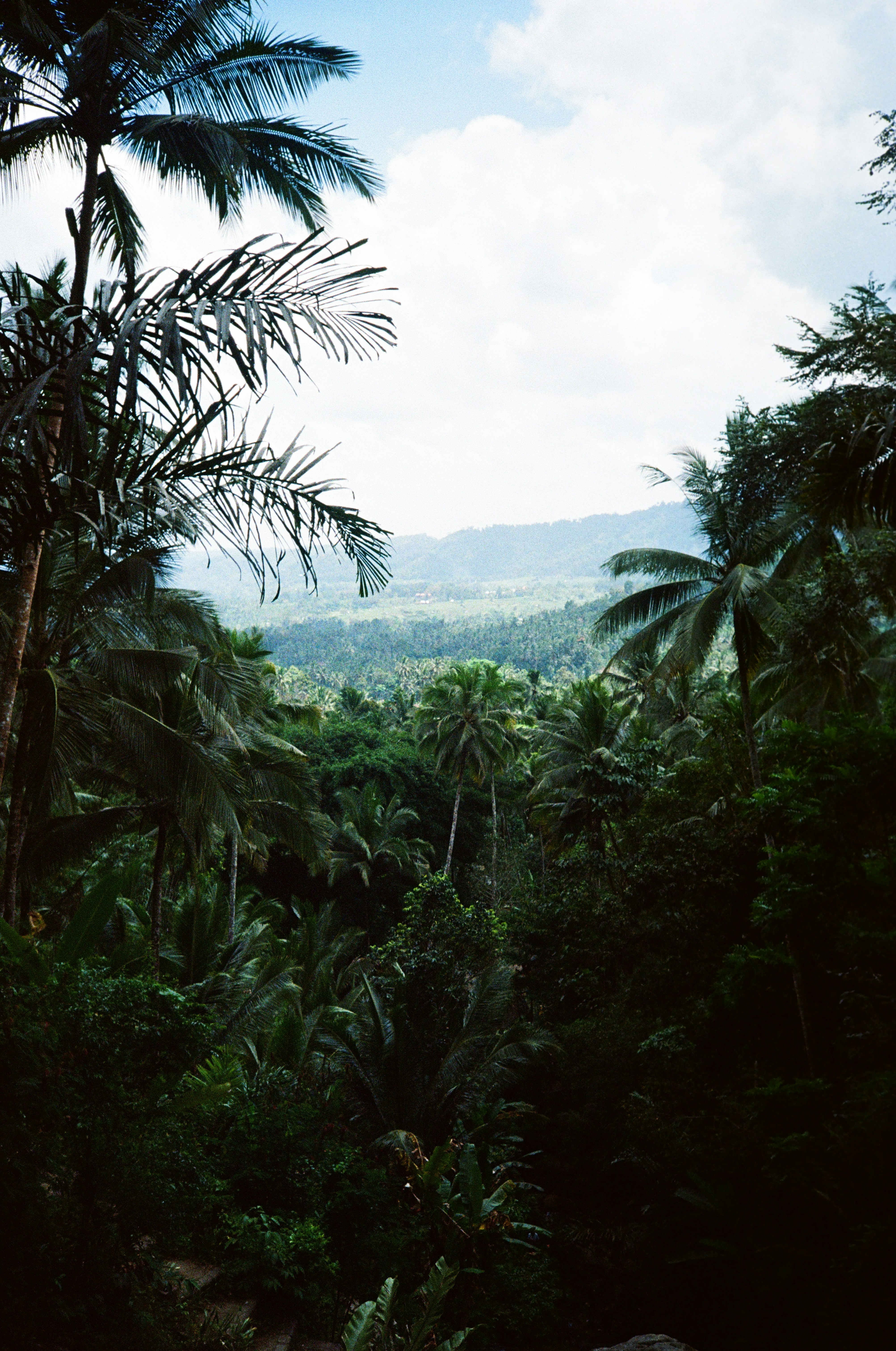 Photo by zhashkevych