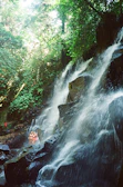 A couple exploring a hidden waterfall in a lush tropical forest.