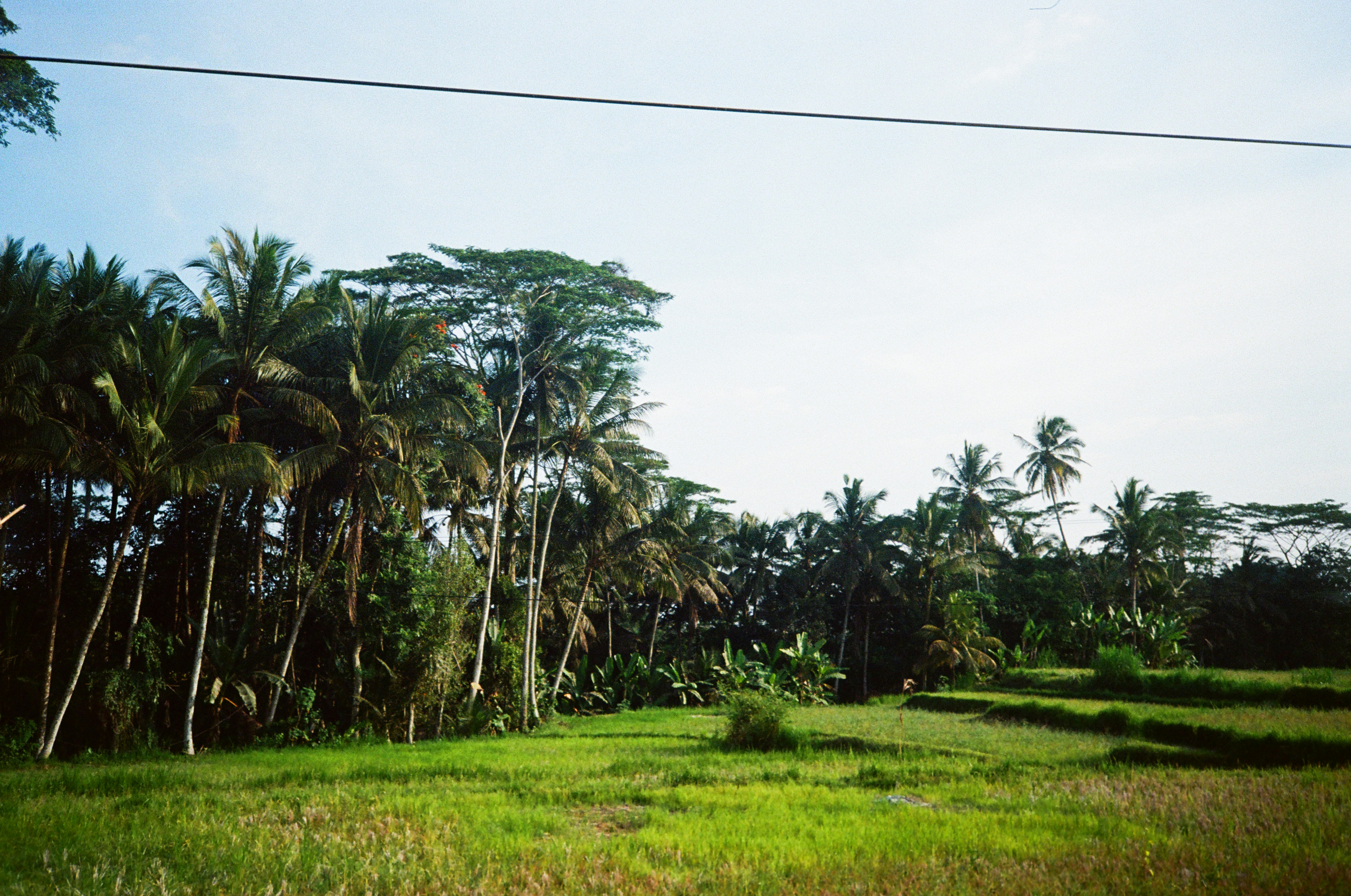 Cayenne, French Guiana - None