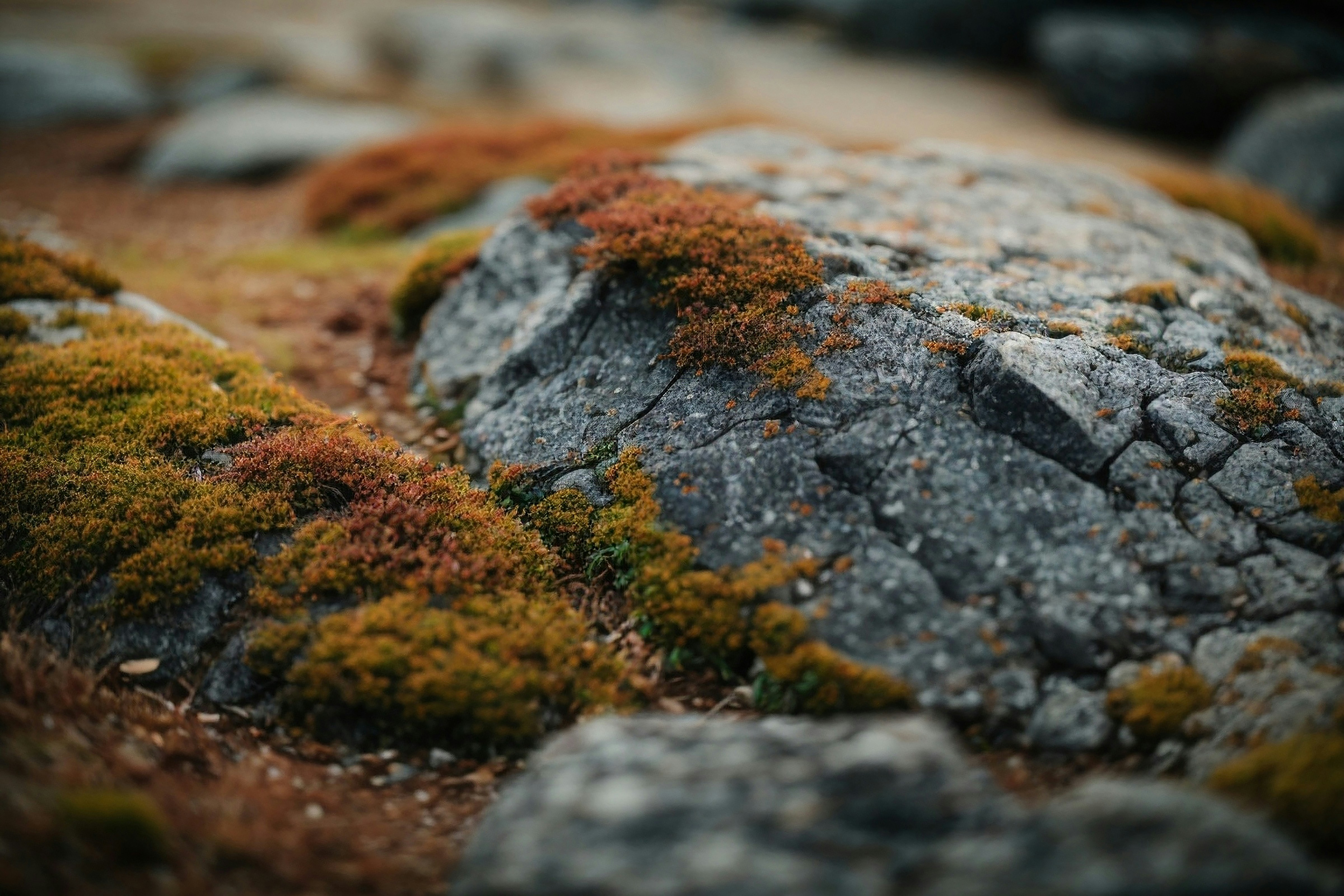 Photo by lemahijo_pg