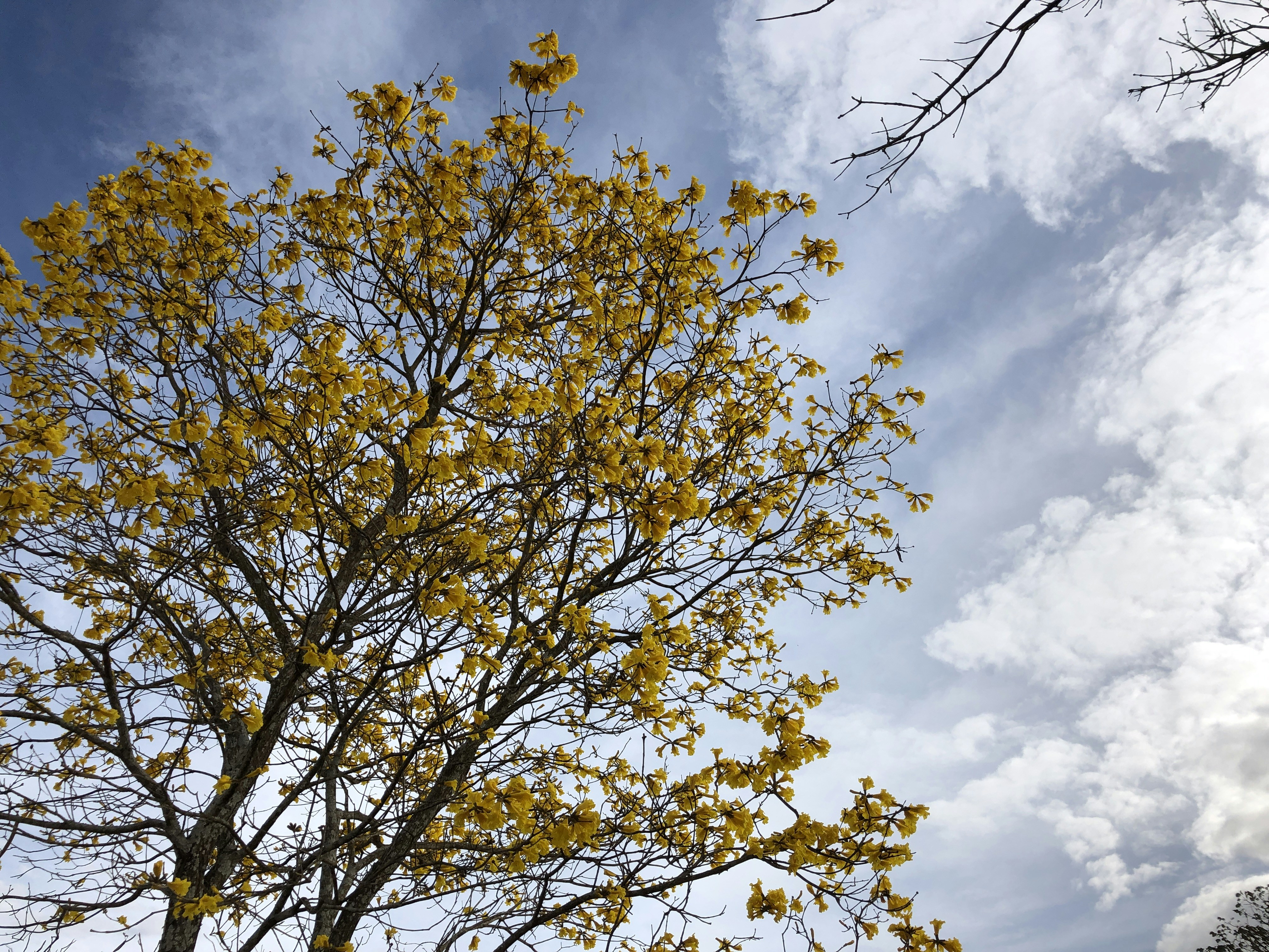 Photo by henriquefelixduarte