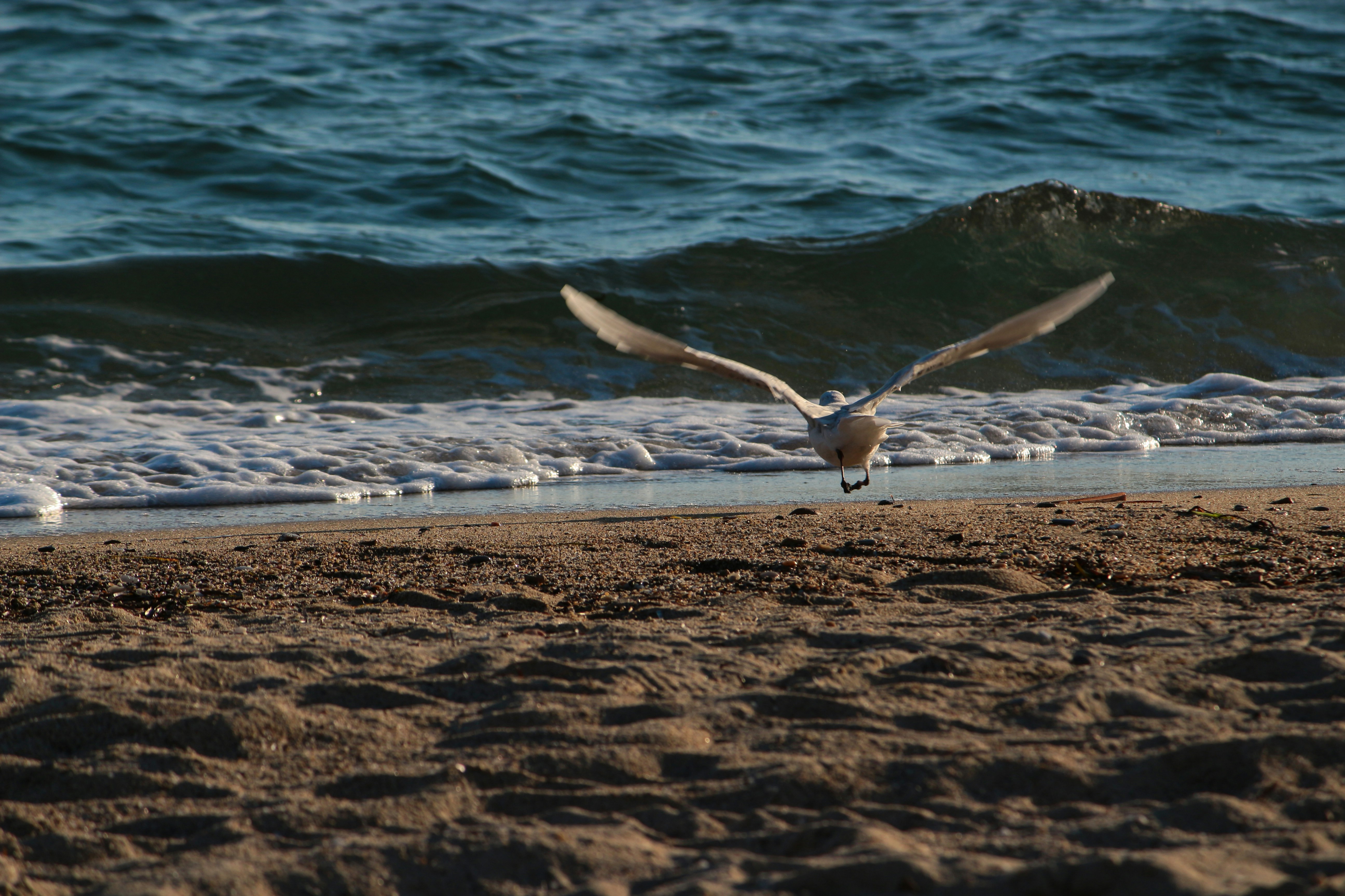 Photo by miloslopusina