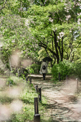 A woman enjoying a peaceful morning walk in a sunlit park, embodying gentle daily habits.