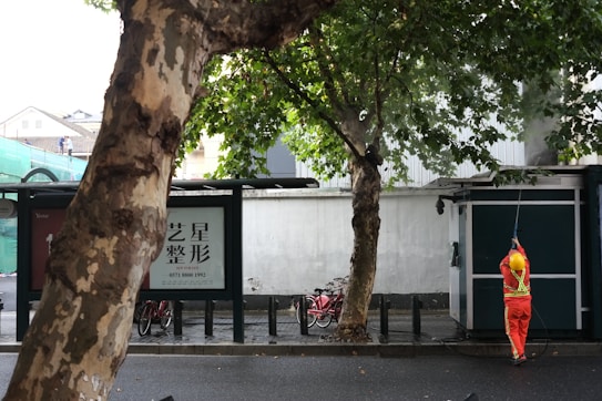 A person in a bright orange uniform and yellow hard hat is power washing the exterior of a structure next to a sidewalk. Large trees with dense green foliage are visible, along with bicycles parked under a canopy. The scene appears to be in an urban setting with buildings and construction in the background.