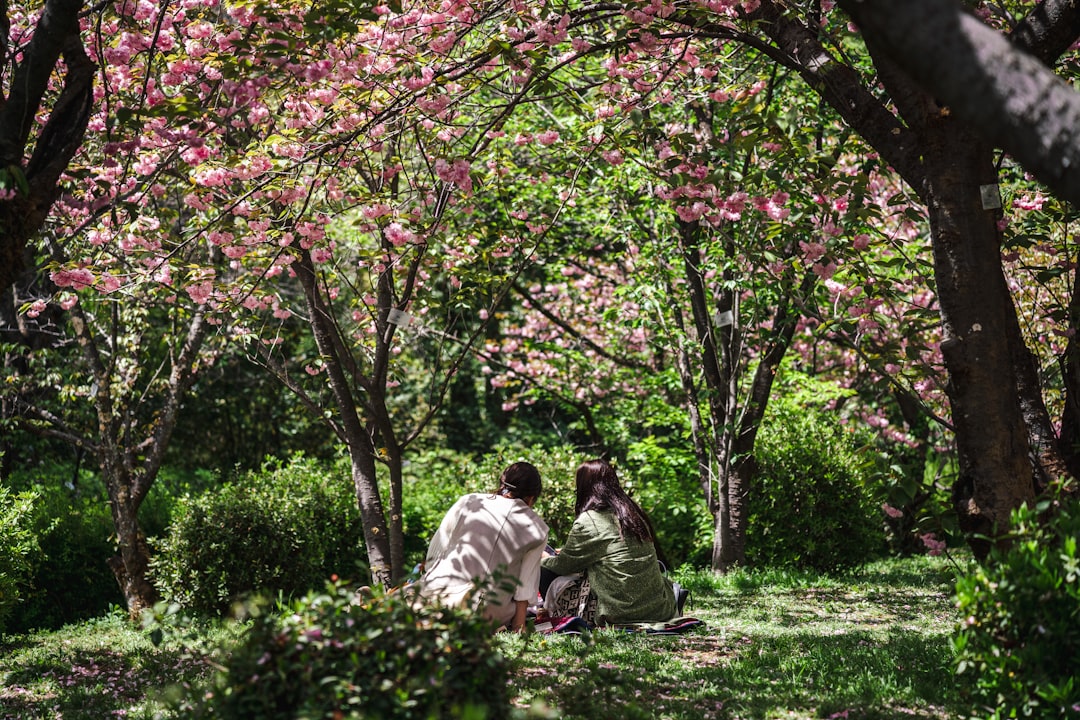 two women sitting on the ground in a park,
