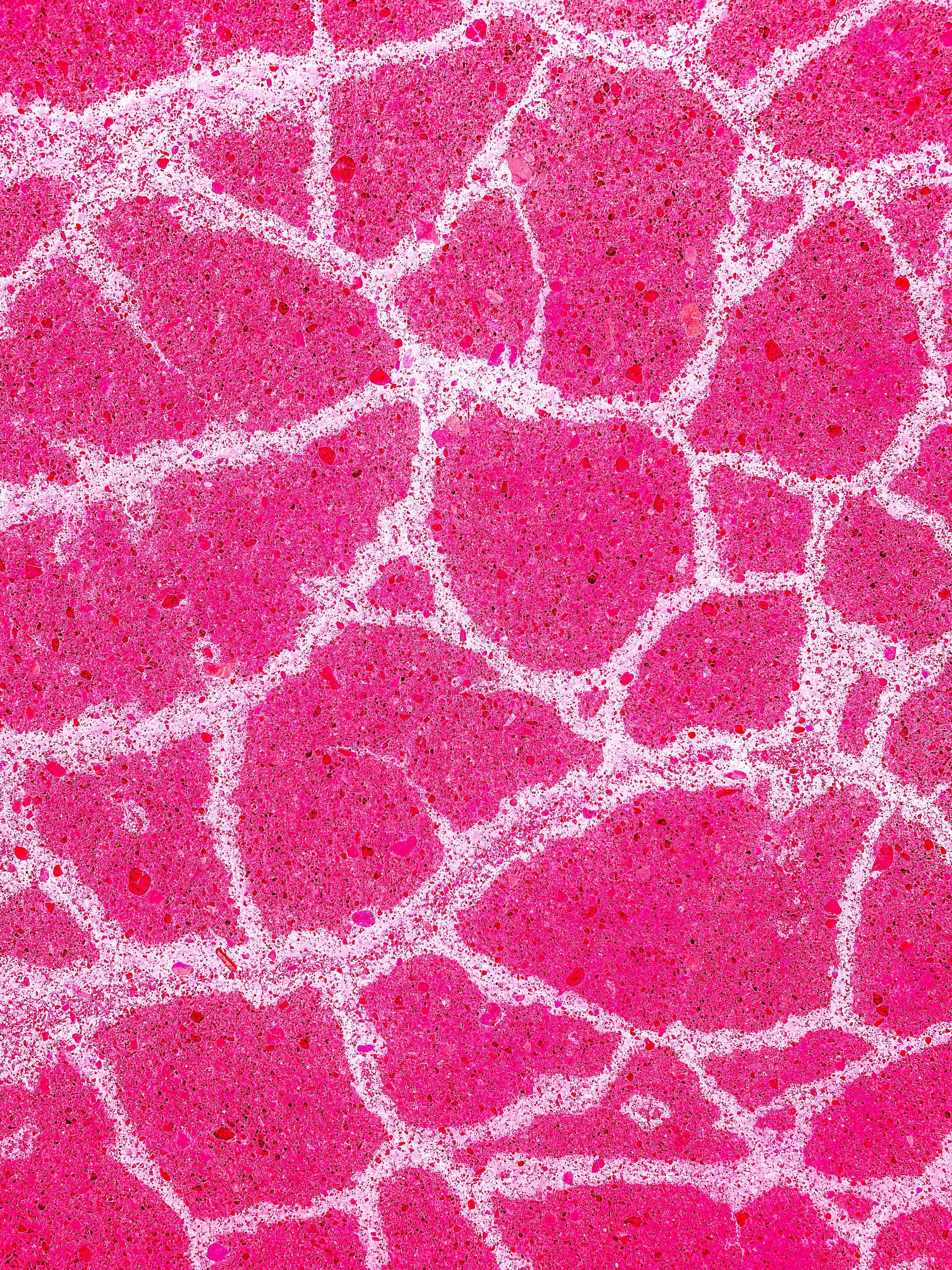 Photo by eugene_golovesov