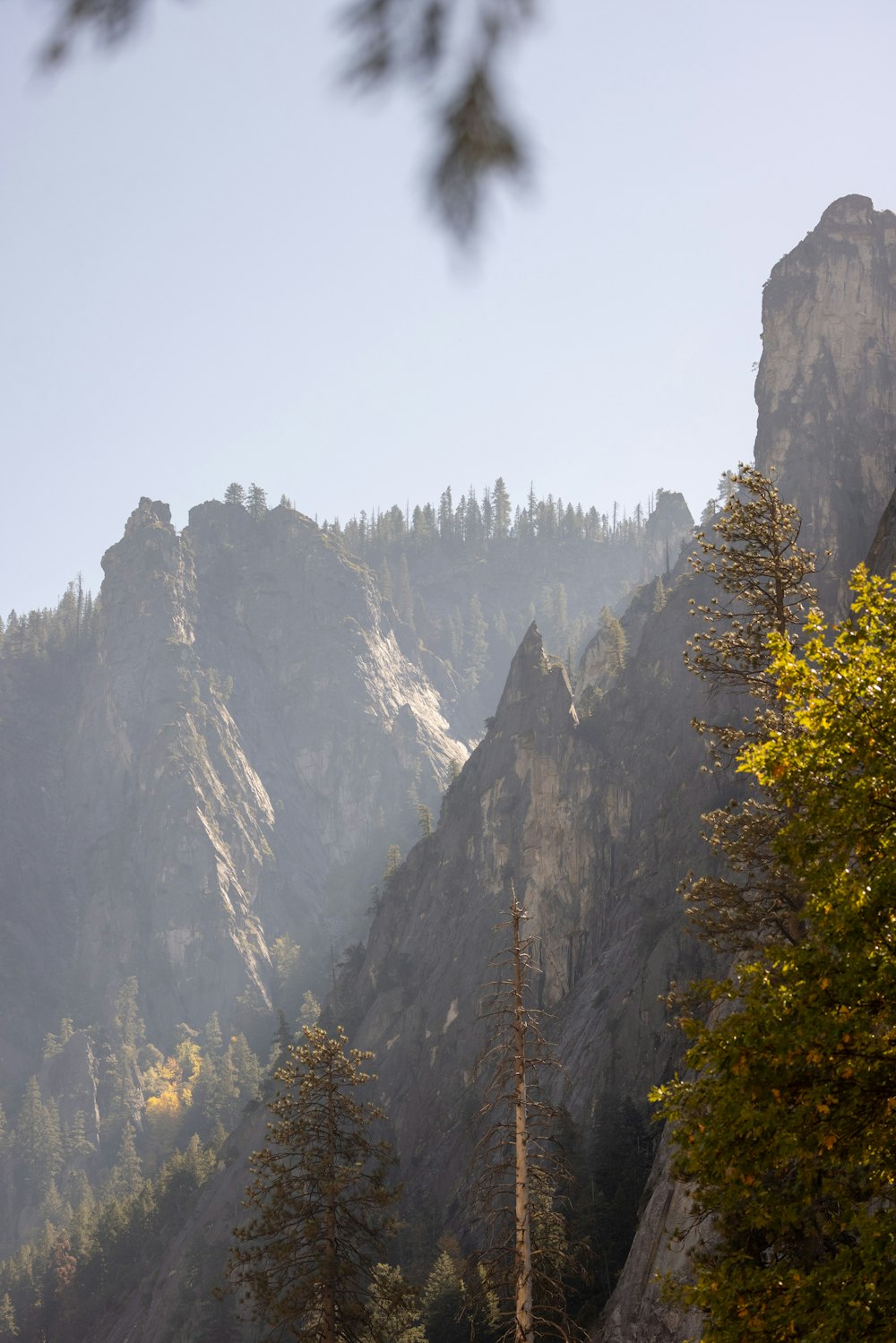 a view of a mountain range with trees in the foreground