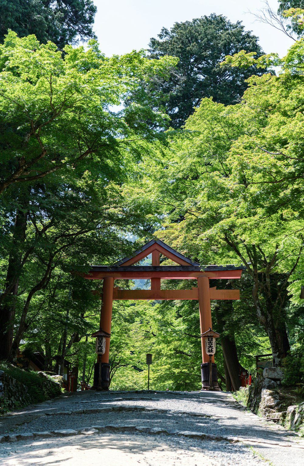 a large wooden gate in the middle of a forest
