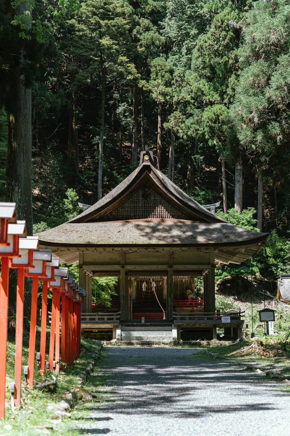 a small pagoda in the middle of a forest