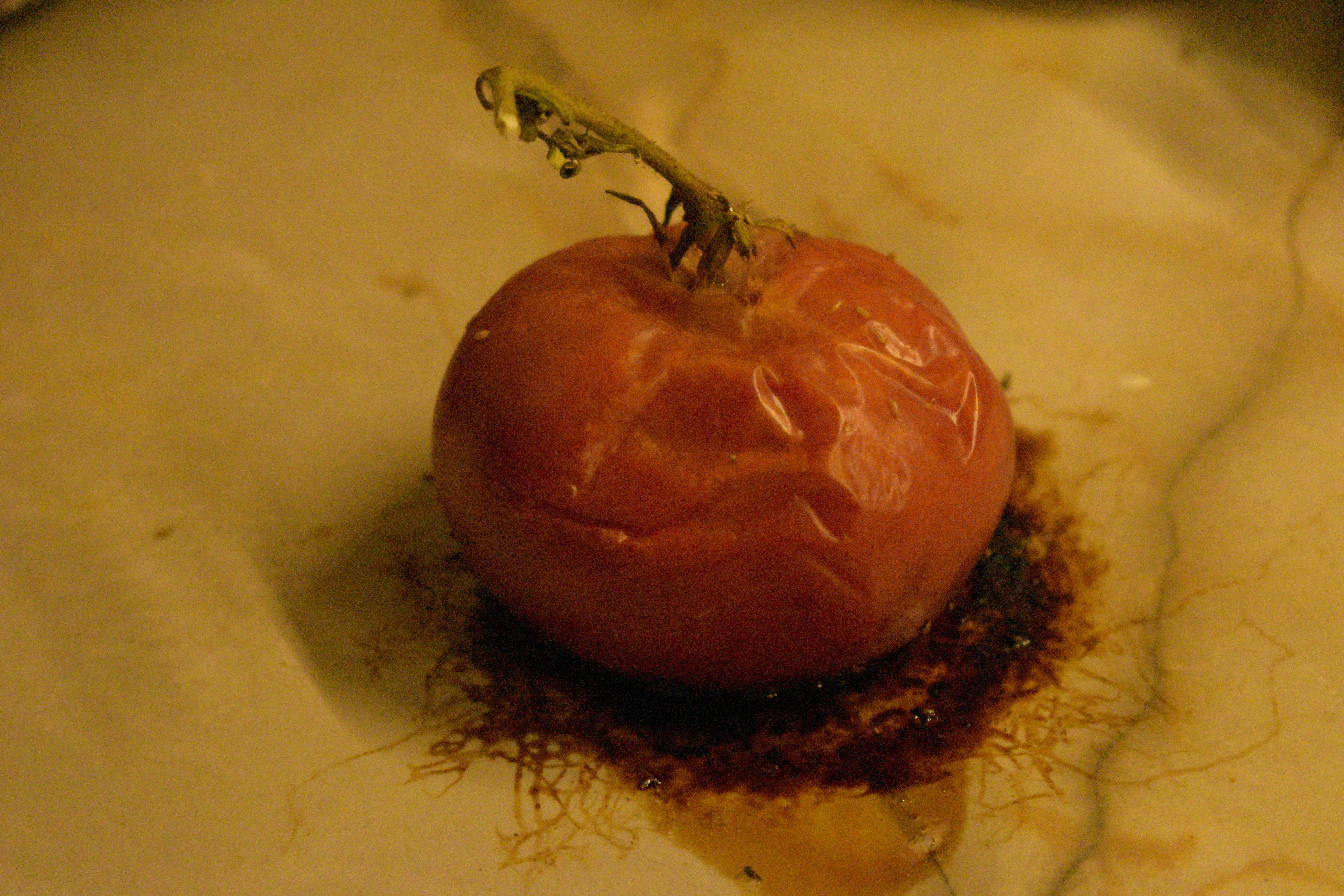 a tomato that is sitting on a table