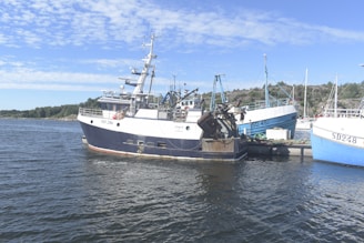 A group of fishing boats moored at a dock on a calm, sunny day. The boats are painted in shades of blue and white, with visible identification numbers on their hulls. The background includes a natural shoreline with green trees and a clear blue sky dotted with clouds.