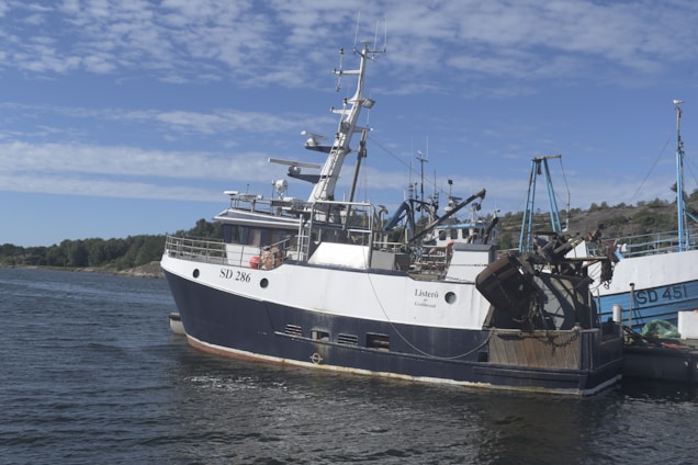 A fishing boat, marked with the number SD 286, is docked on a body of water. It has a blue and white hull and various equipment on deck. The sky is partly cloudy, and a wooded shoreline is visible in the background. Another boat can be seen next to it.