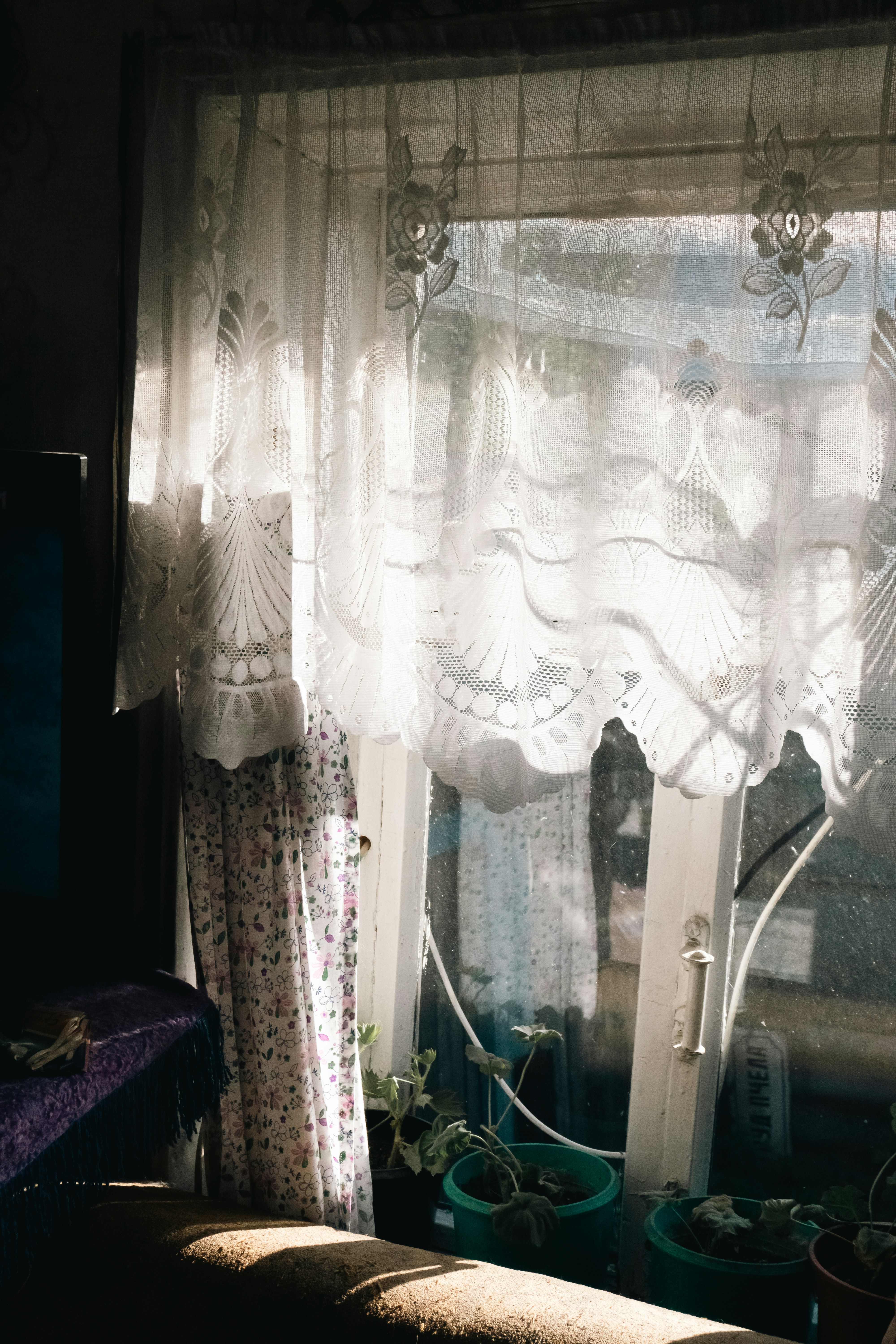 Photo by dismilated
