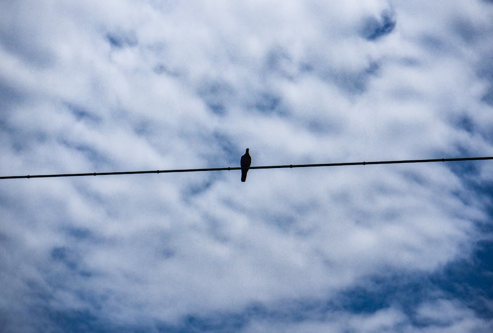 a black bird sitting on a wire under a cloudy sky