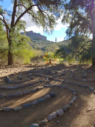 A serene outdoor scene featuring a stone labyrinth on the ground surrounded by trees. In the background, a mountainous landscape is visible under a bright blue sky with scattered clouds. Sunlight filters through the branches, casting shadows on the earthy ground.