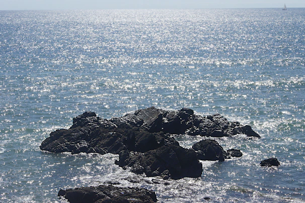 Sunlight sparkling on gentle waves with a silhouette of a sailboat in the distance.