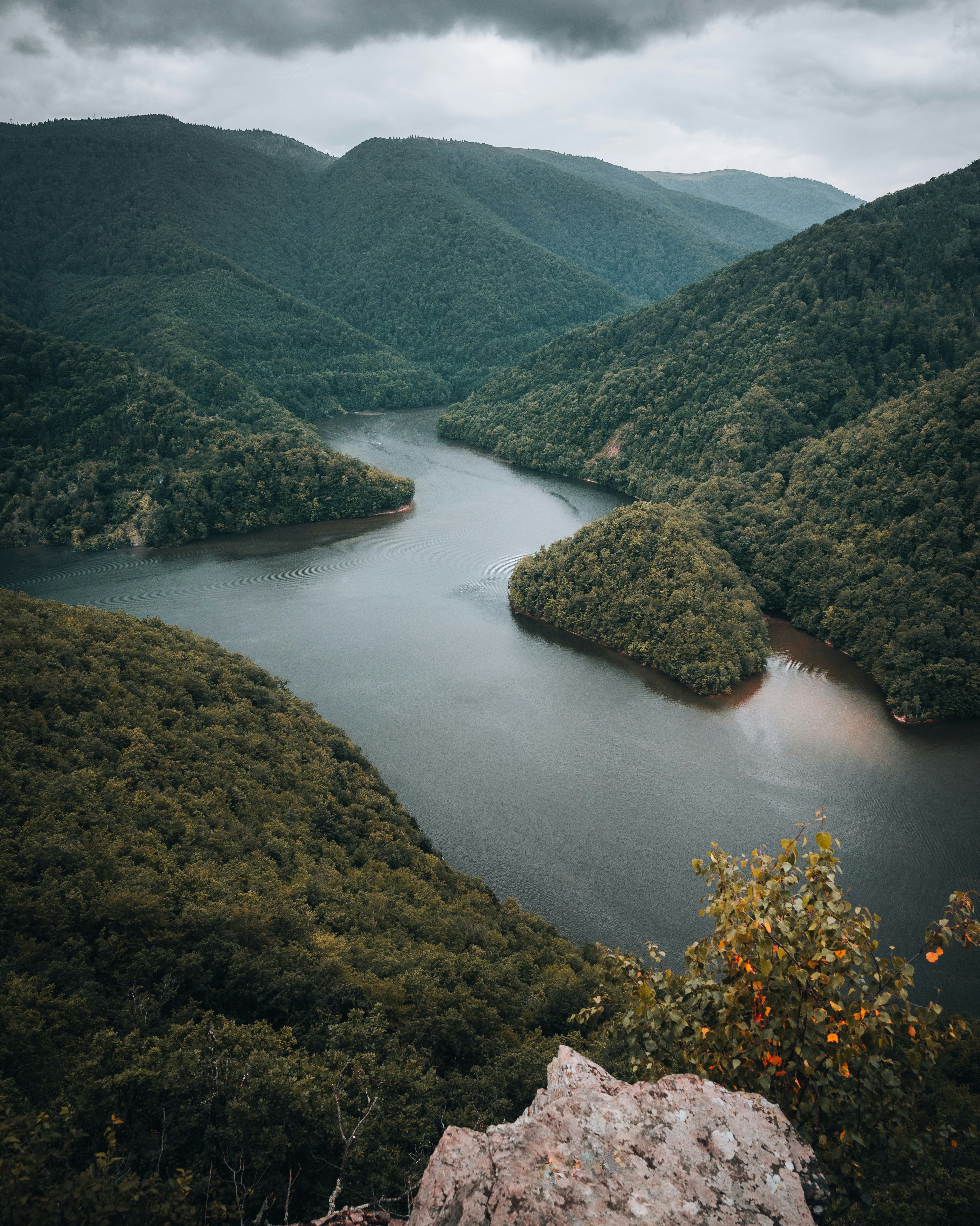 Photo by tamas_tuzeskatai