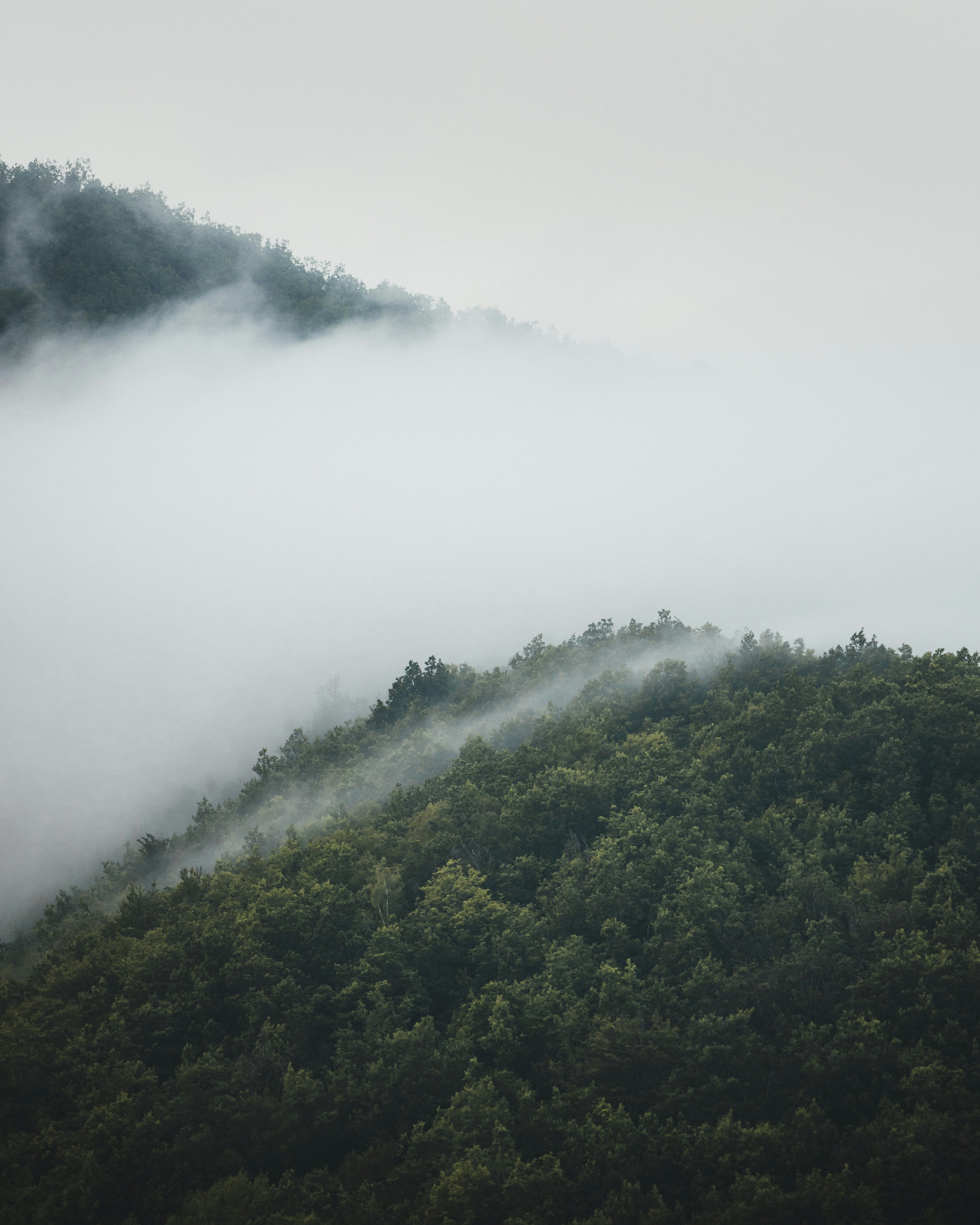 Photo by tamas_tuzeskatai