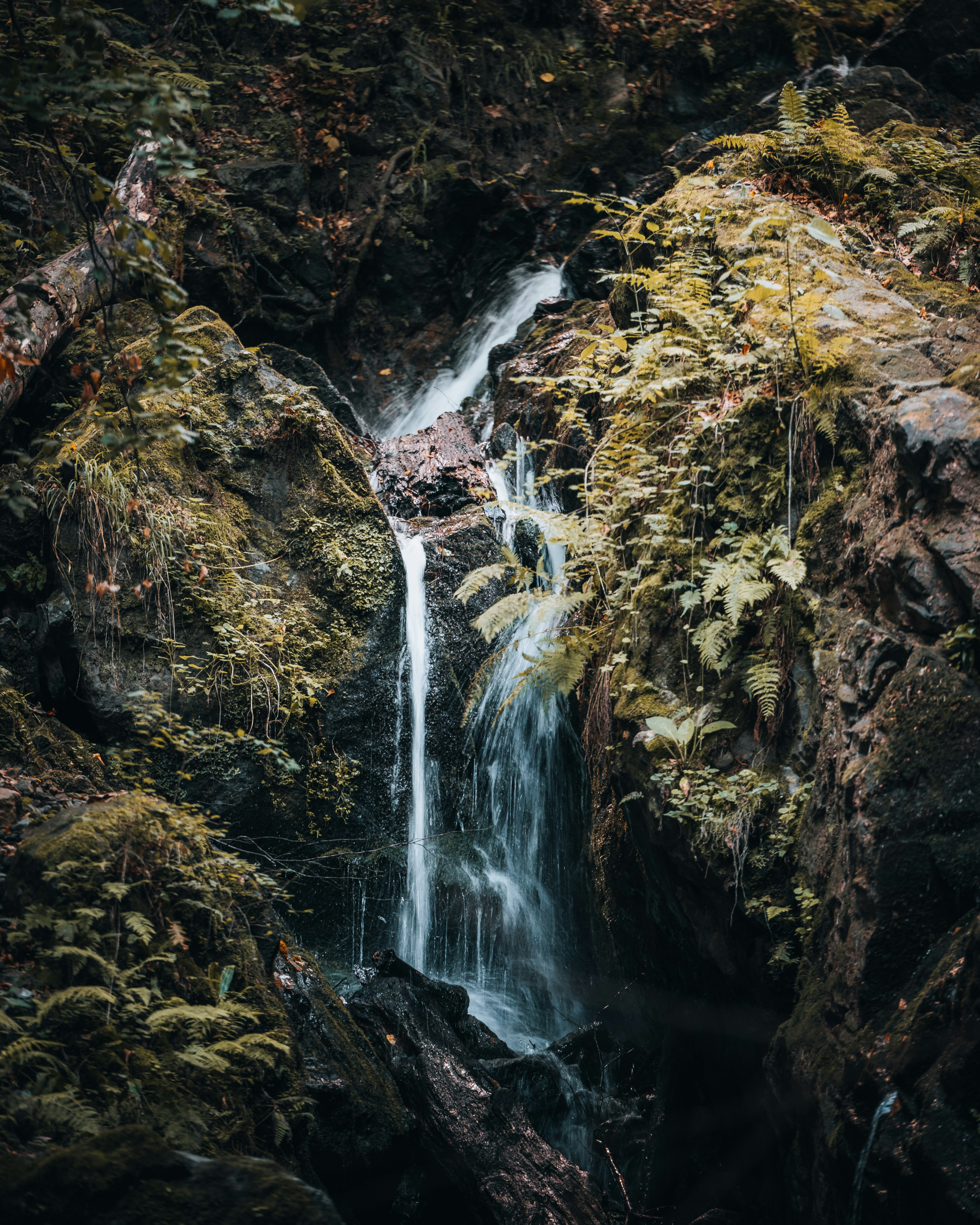 Photo by tamas_tuzeskatai