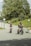 A group of employees happily riding electric bikes in a city park.