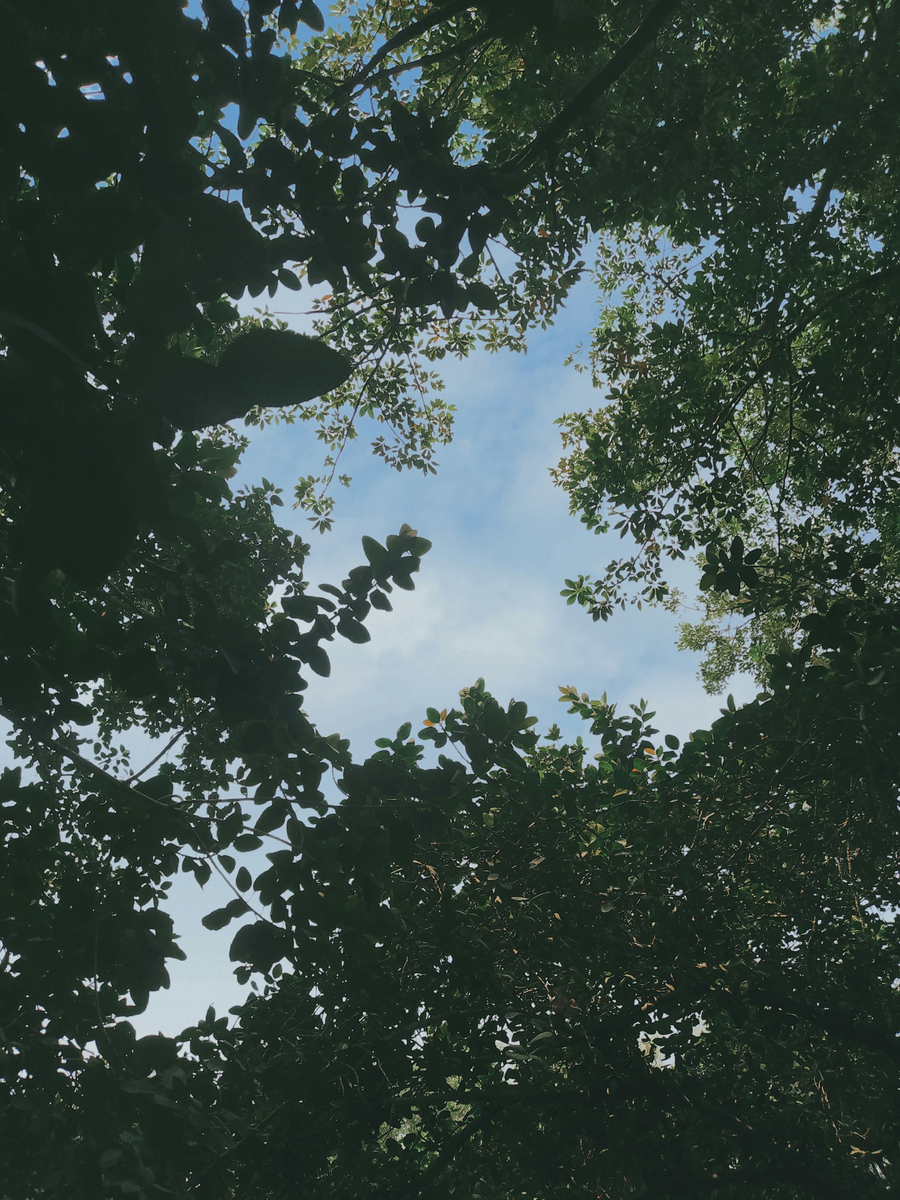 Photo by daisyangels