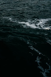 Dark ocean water with visible waves and white foam on the surface.