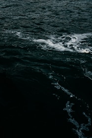 Dark ocean water with visible waves and white foam on the surface.