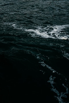 Dark ocean water with visible waves and white foam on the surface.
