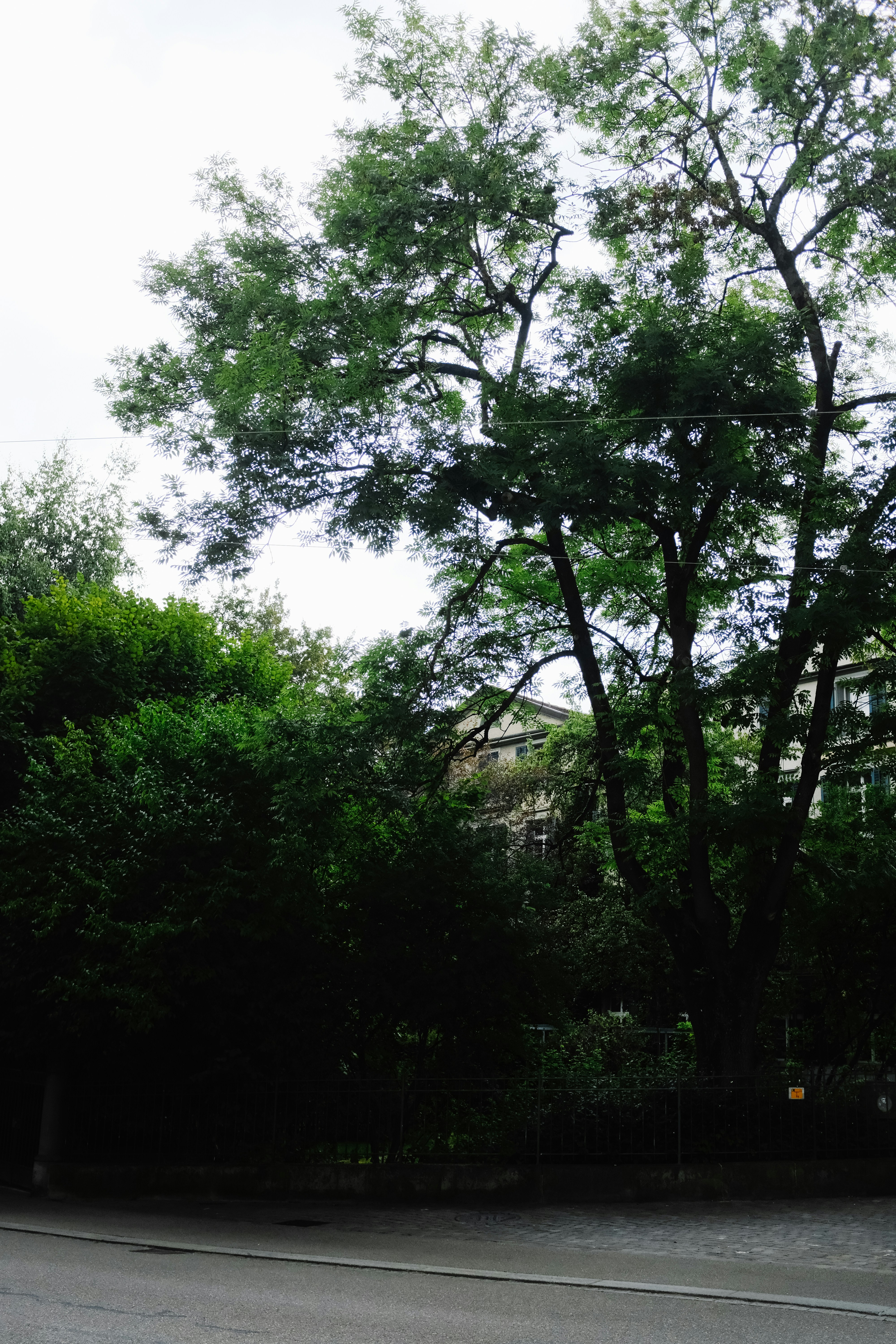 Photo by adrienolichon