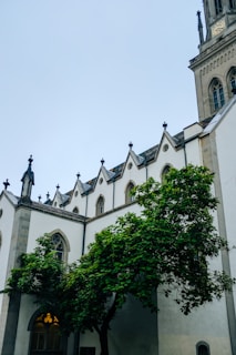 A Gothic-style church with tall, pointed arches and a large, ornate clock tower. The building is adorned with crosses and features a row of smaller gabled roofs. A lush green tree stands in the foreground, partially obscuring the entrance.