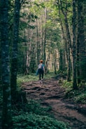 A hiker wearing a rugged backpack walking through a dense forest trail.