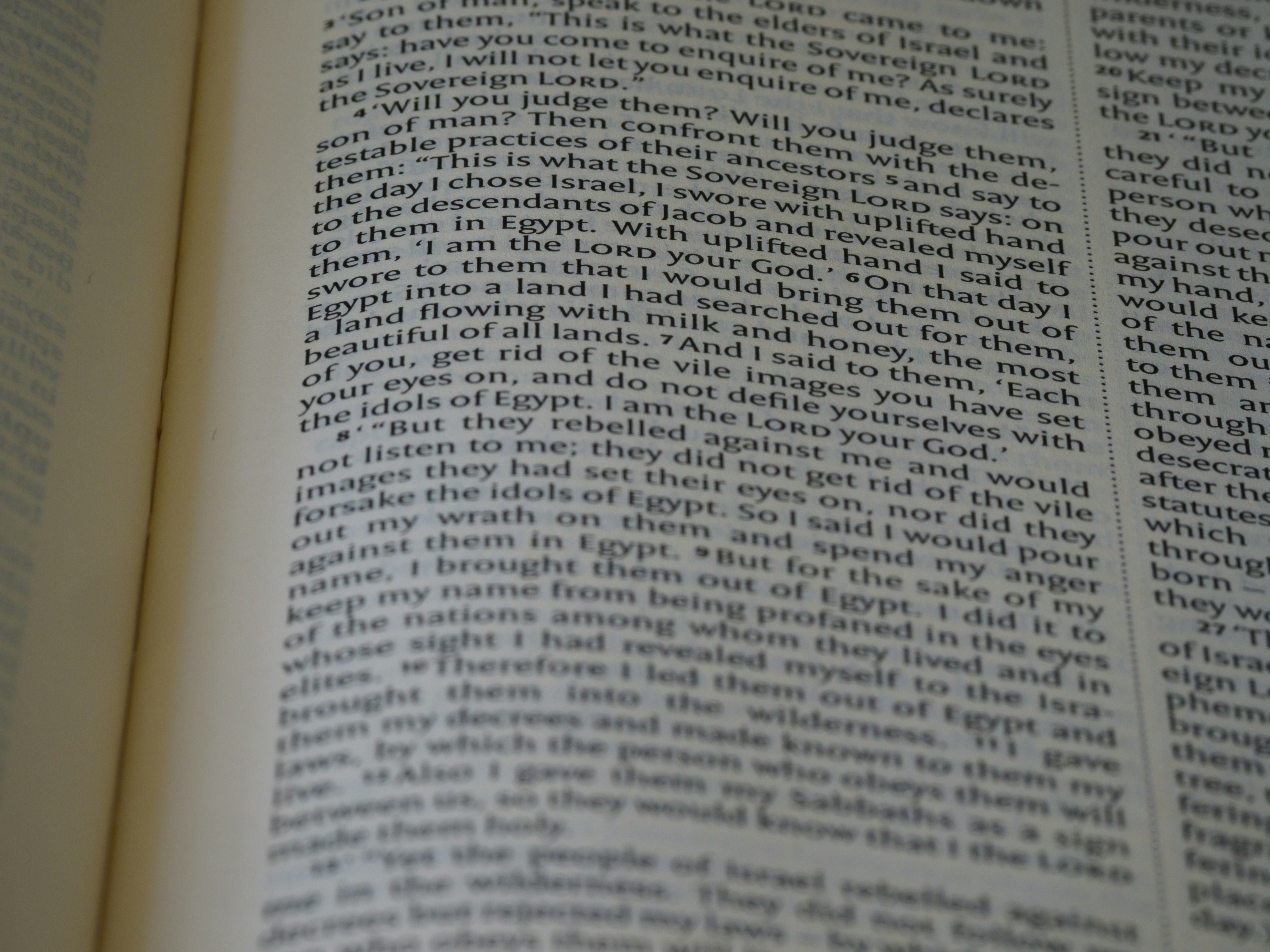 Photo by brett_jordan