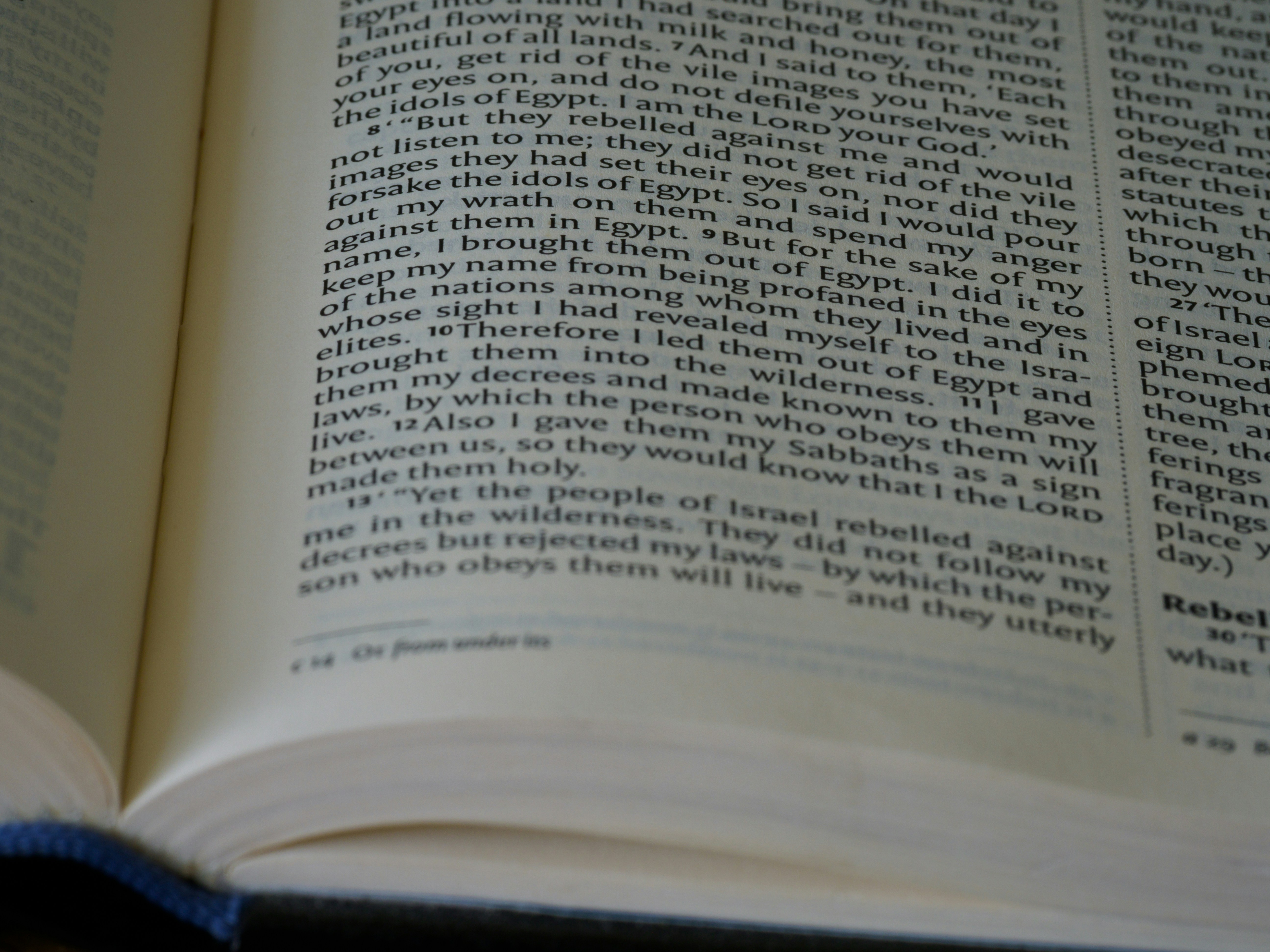 Photo by brett_jordan