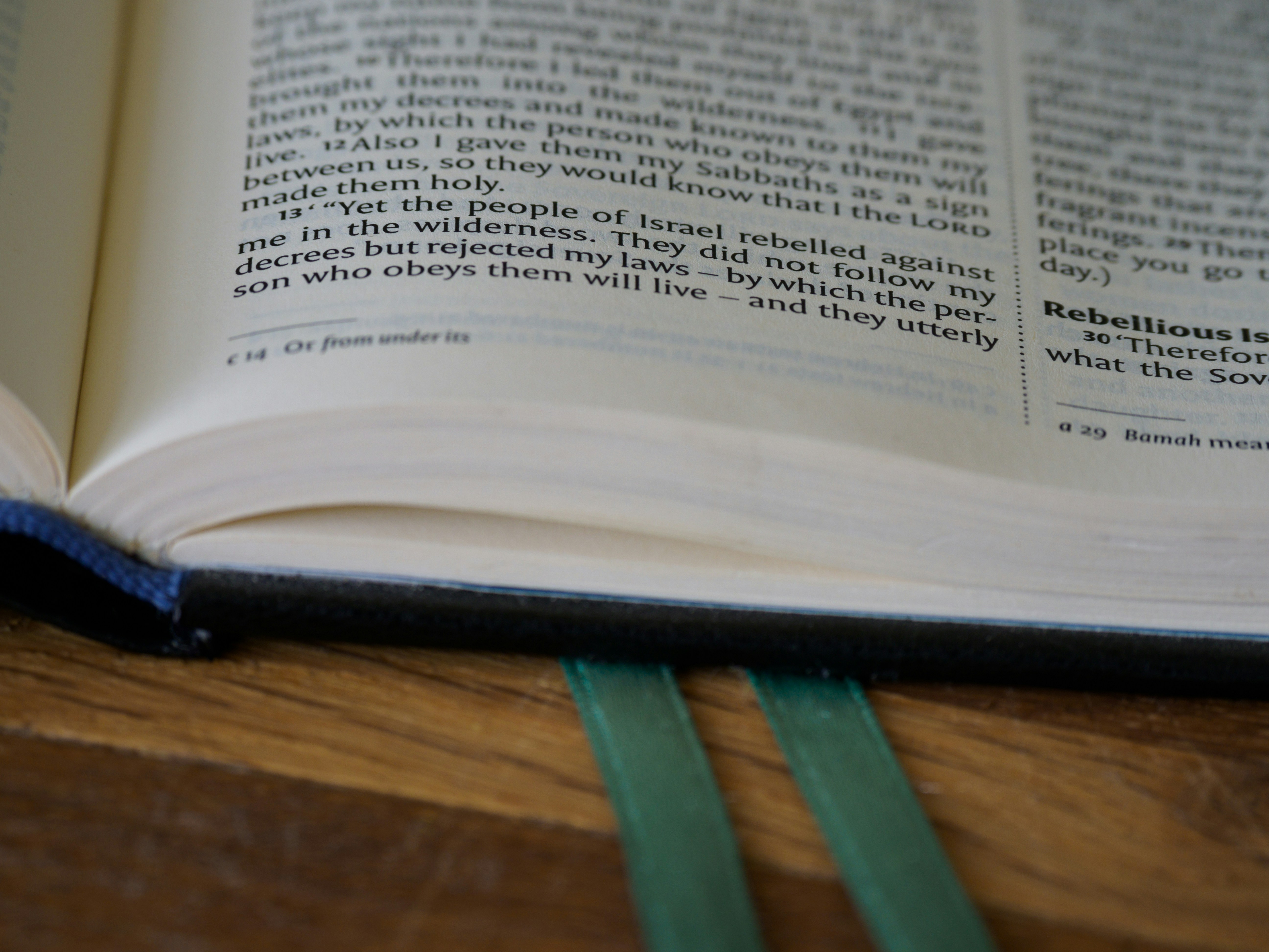 Photo by brett_jordan