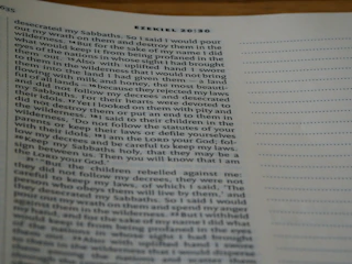 A close-up of a page from a Bible featuring text from Ezekiel 20:30. The left side has text while the right side displays a section of blank lines. The text is printed in black ink on off-white paper.