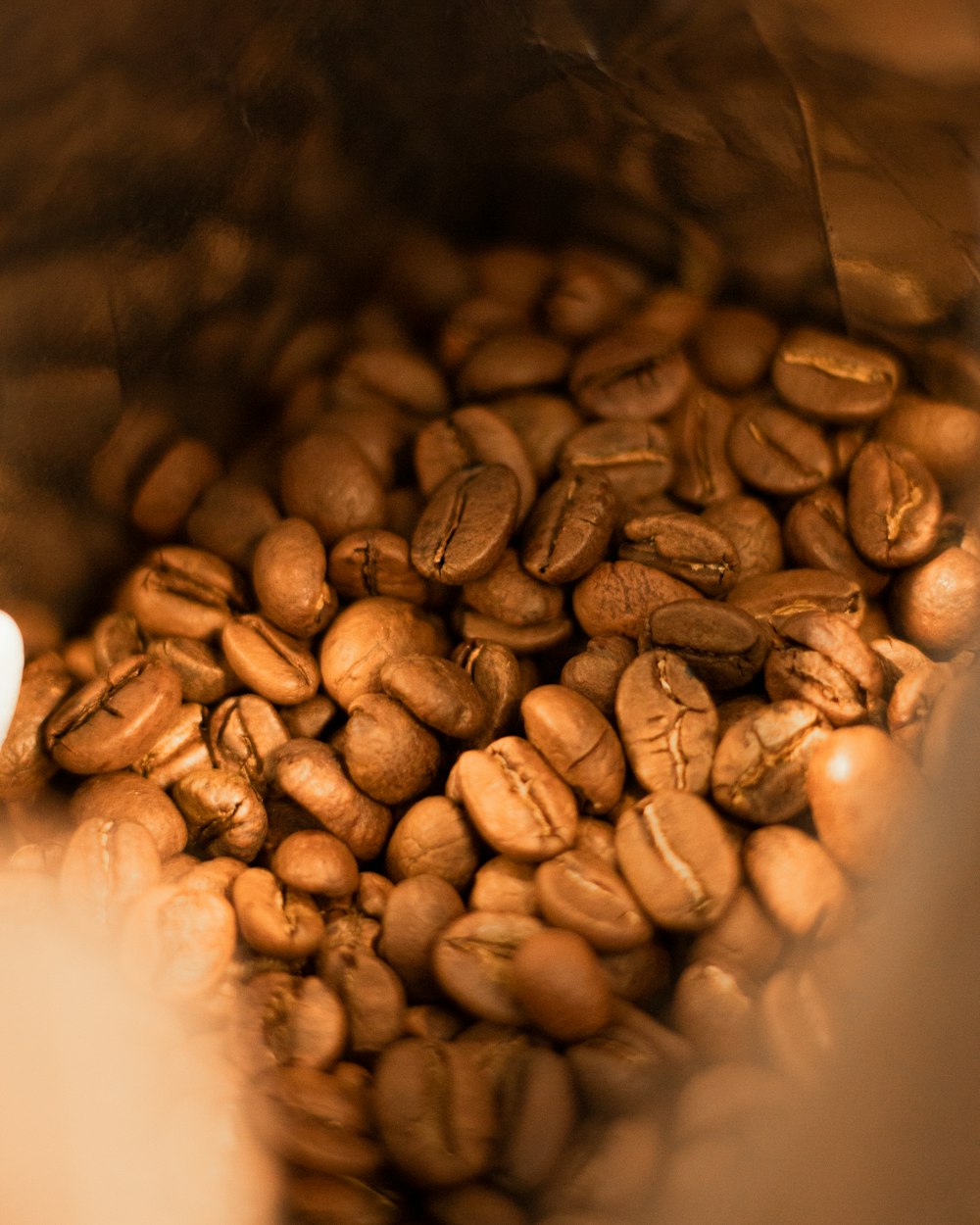 a close up of a bag of coffee beans