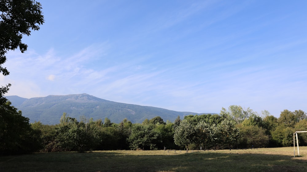 a soccer goal in a field with a mountain in the background