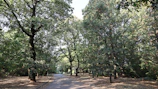 An outdoor shot of me walking thoughtfully through a city park.