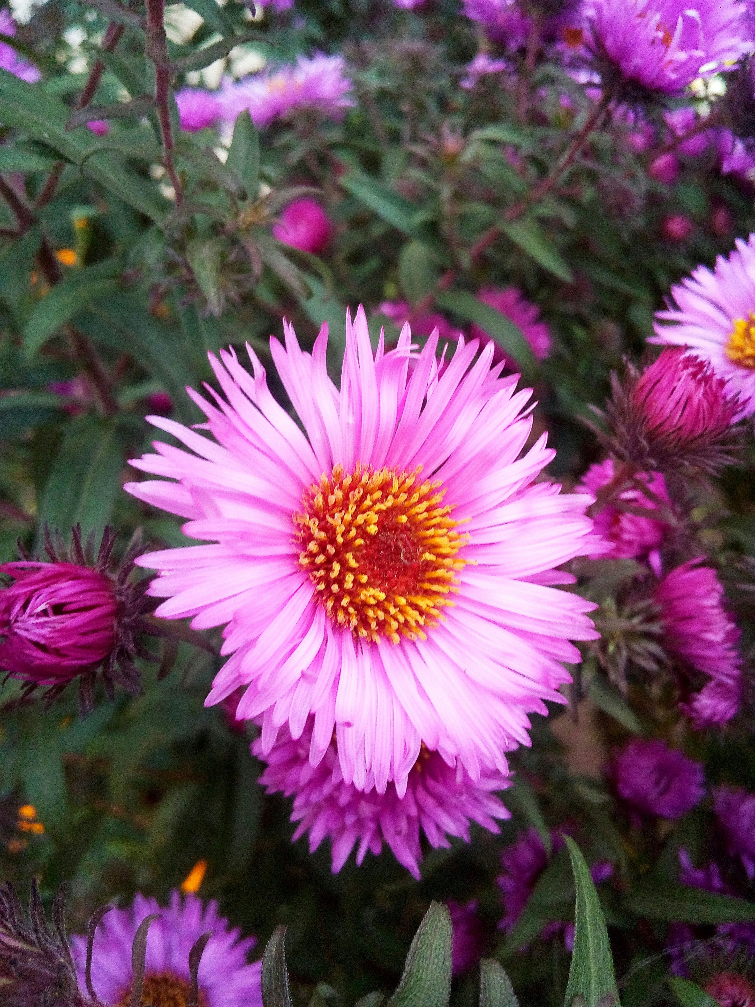 Photo by dmitry_burdakov