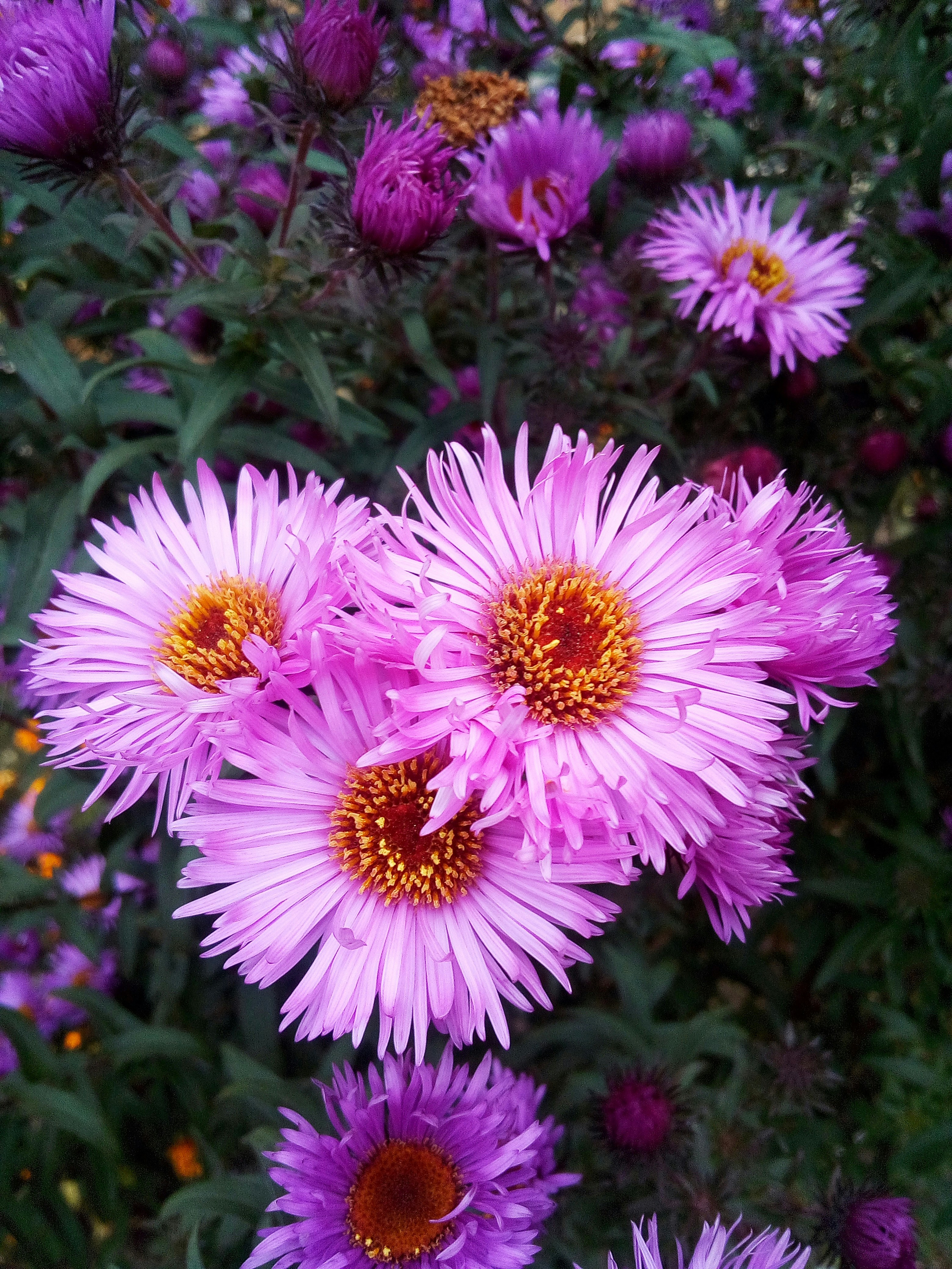 Photo by dmitry_burdakov