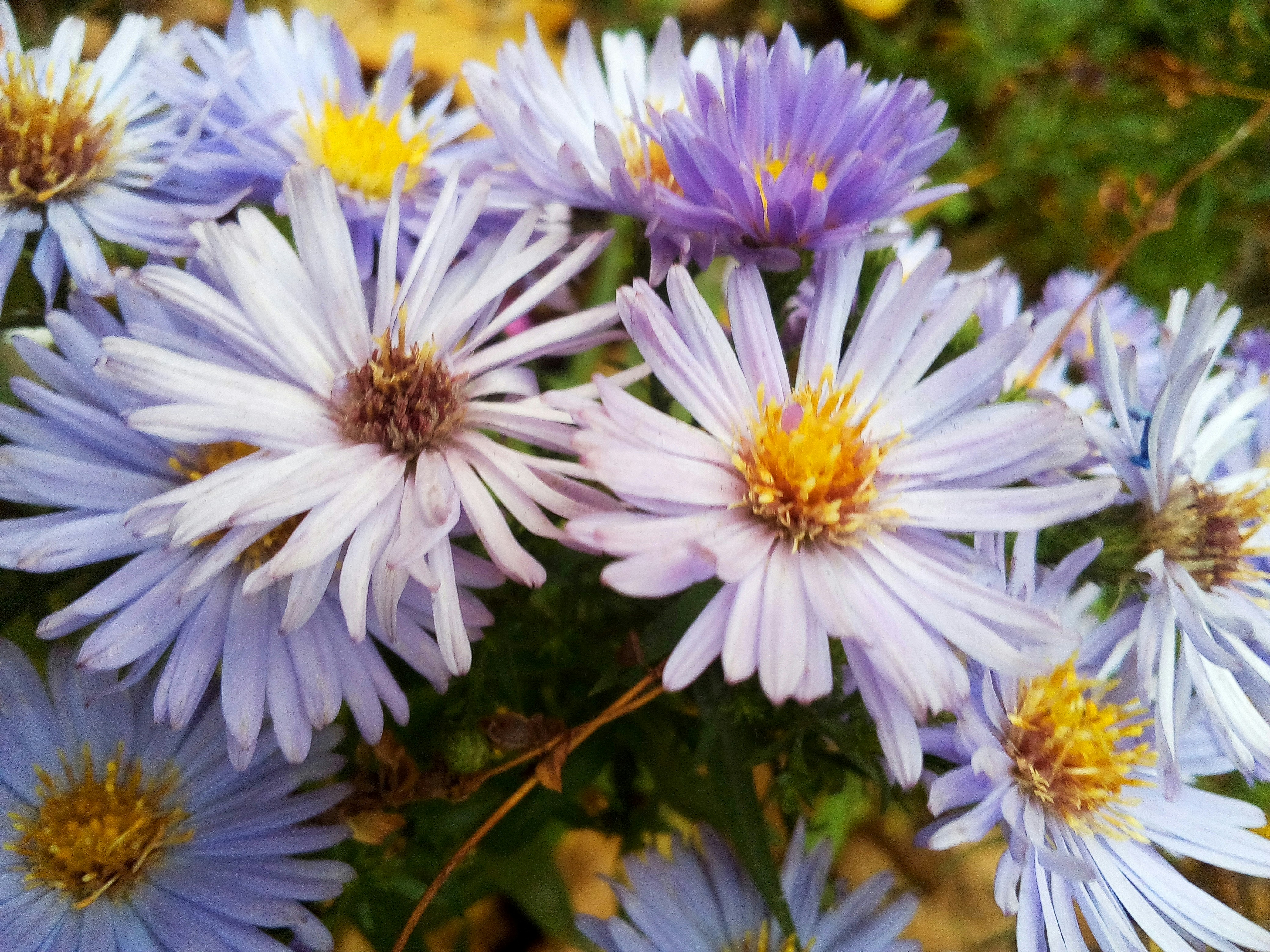 Photo by dmitry_burdakov