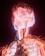 A vibrant and intricate visualization of a human form composed of neon-like light strands. The colors predominantly consist of reds, blues, and warm hues, creating an electrifying and dynamic effect. The structure resembles the nervous system, with a focus on the head and upper torso.