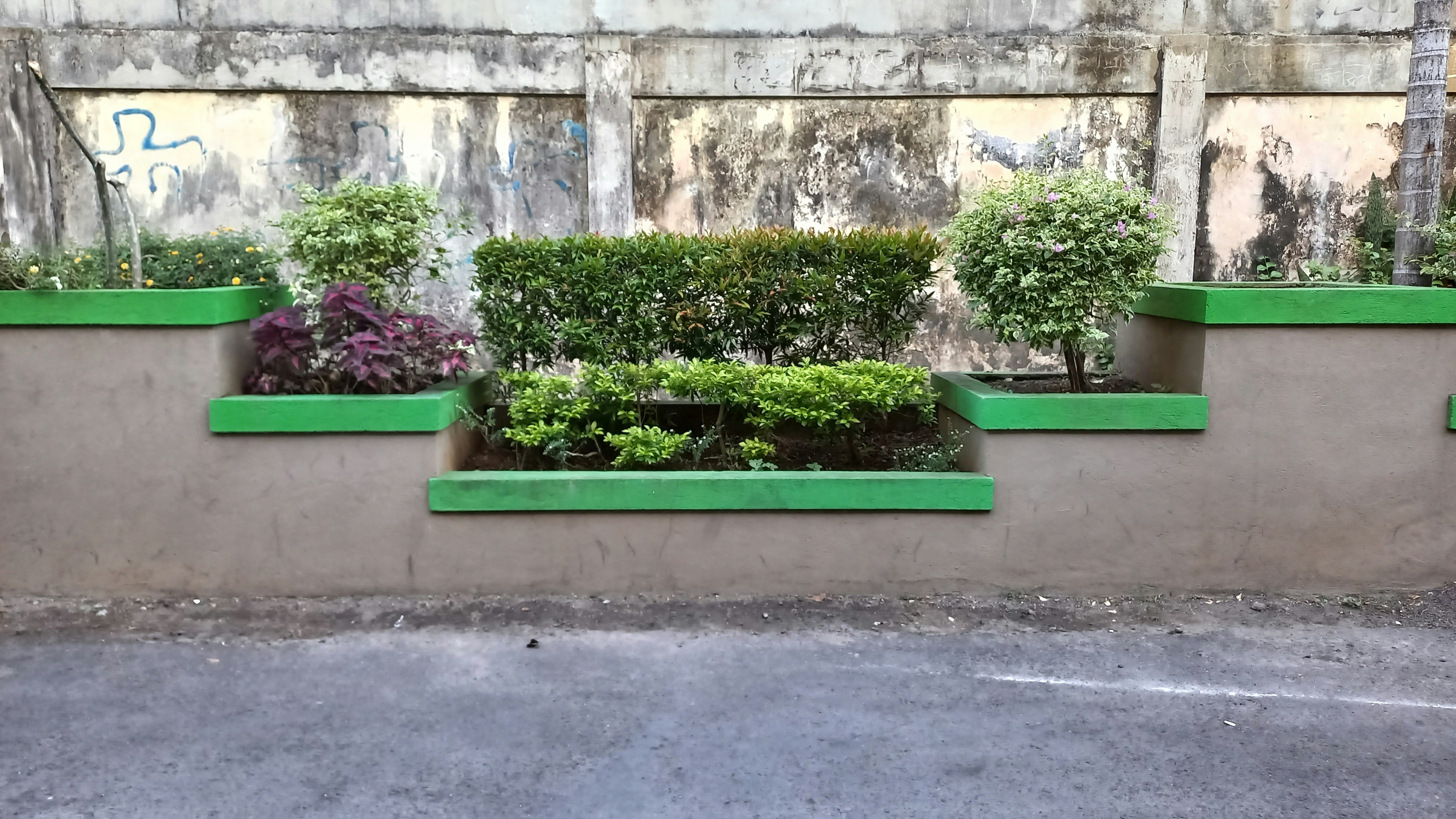 a group of green planters sitting on top of a cement wall