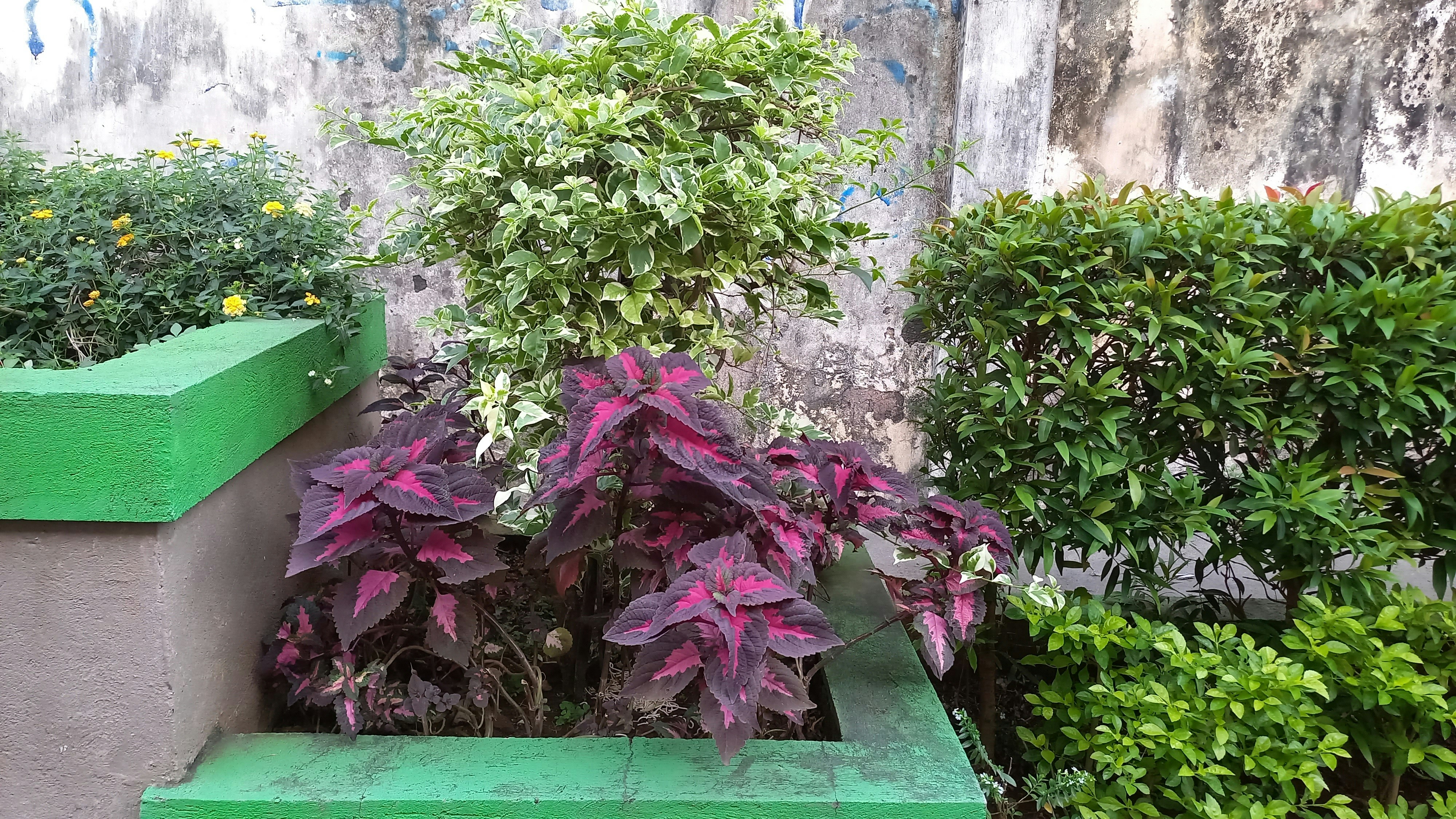 a green bench sitting next to a green planter