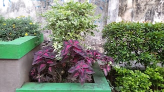 a green bench sitting next to a green planter