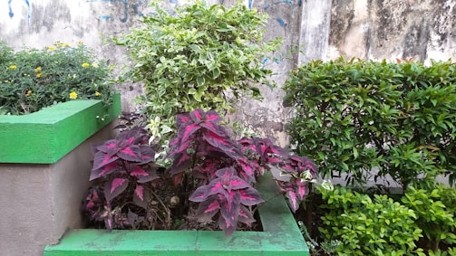 a green bench sitting next to a green planter